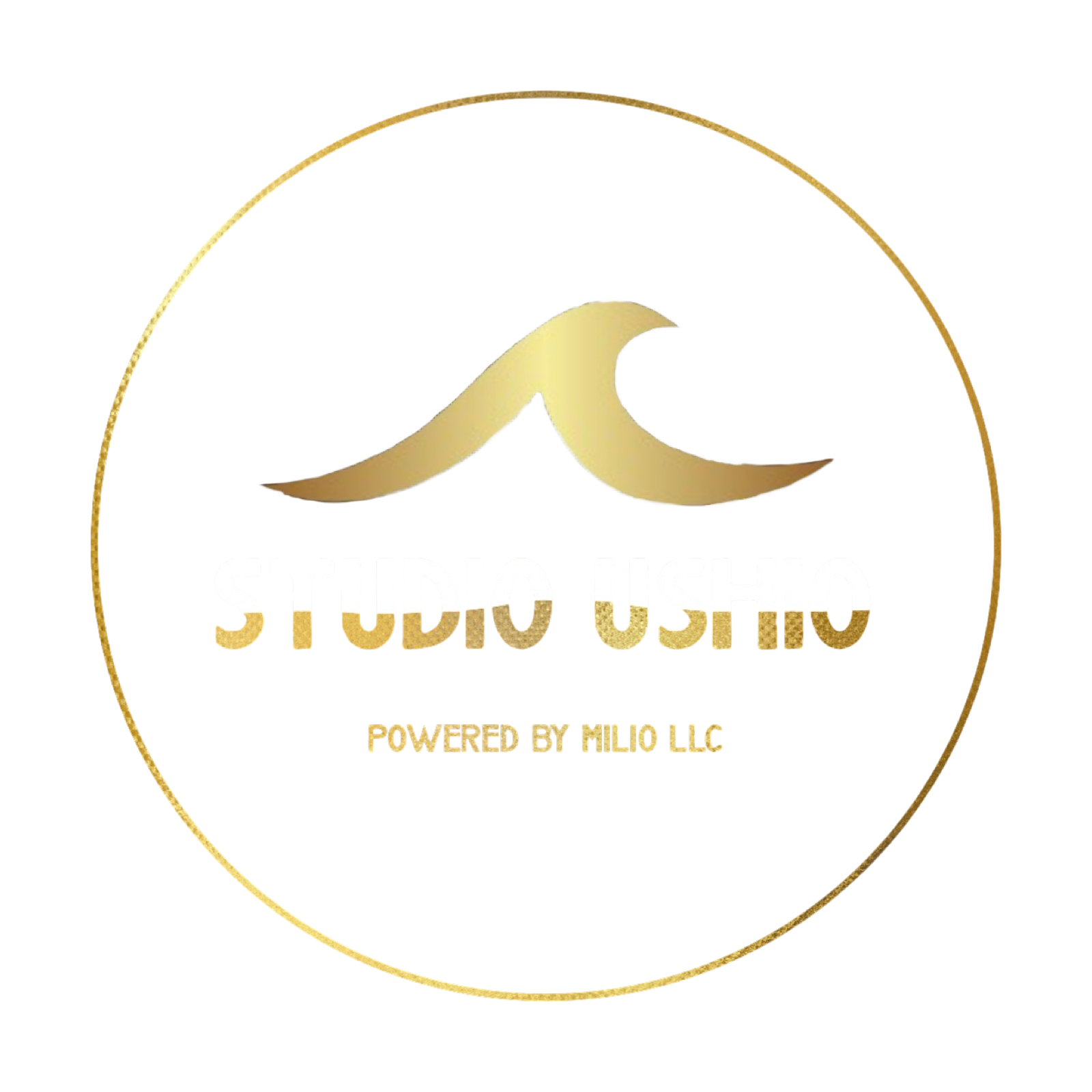 Studio Ushio